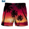 Hawaiian Swim Trunks Coconut Tree