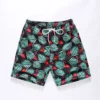 Hawaiian Swim Shorts