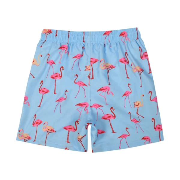 Men-s-Swimming-Pants-Quick-Dry-Swimming-Shorts-with-Mesh-Lining-Animal-Print-Swimwear-Swimwear-Summer-1 Flamingo Swim Trunks