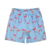 Men-s-Swimming-Pants-Quick-Dry-Swimming-Shorts-with-Mesh-Lining-Animal-Print-Swimwear-Swimwear-Summer Flamingo Swim Trunks