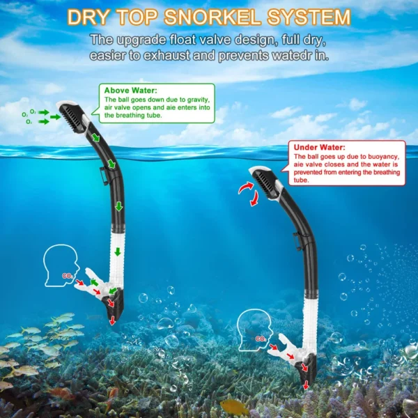 Snorkel Set