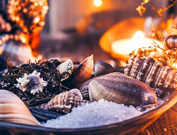 swimmR - We Are Swimming 93 20+ Beautiful Sea Witchery Ideas Going Viral on Pinterest