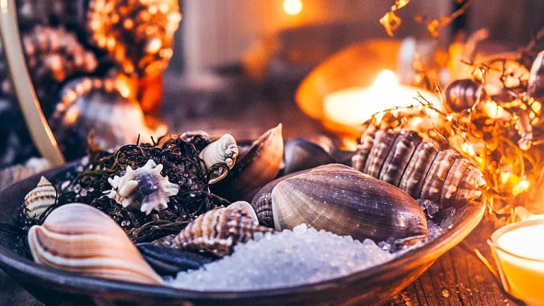 sea witchery 13 e1734128949493